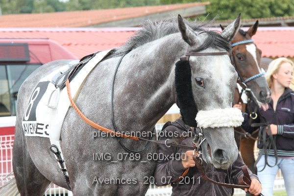 IMG 0789 600x400 prot
