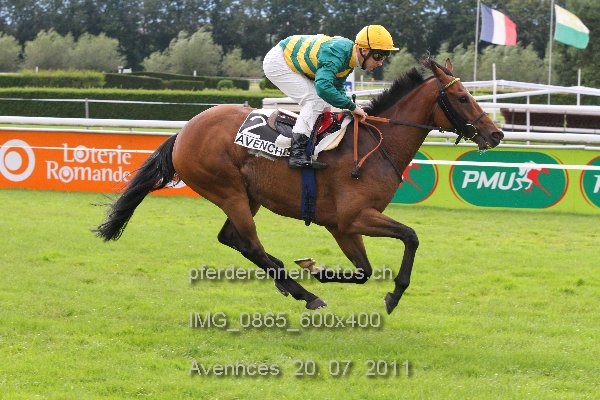 IMG 0865 600x400 prot