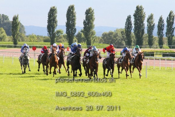 IMG 0892 600x400 prot