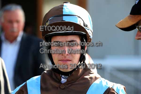 ET0Q0084d prot