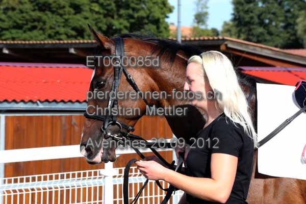 ET0Q0085d prot