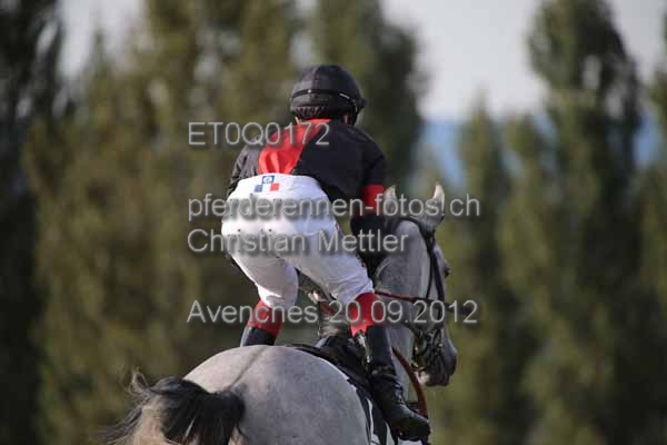 ET0Q0172 prot