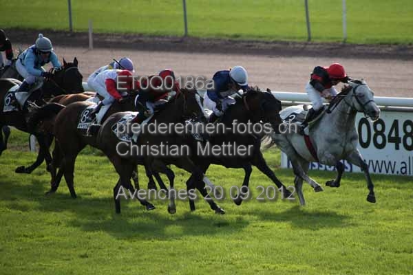 ET0Q0186a prot