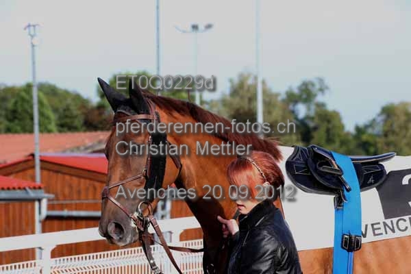 ET0Q0229d prot