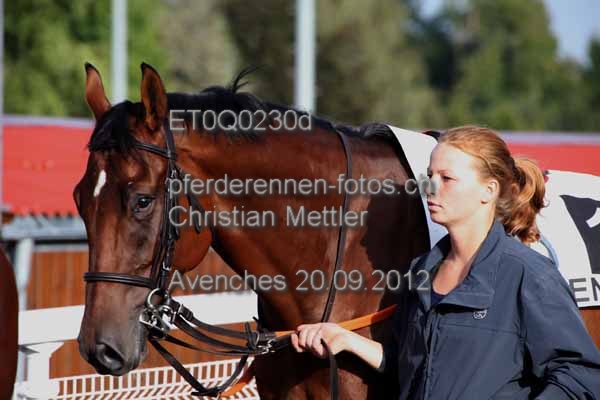 ET0Q0230d prot