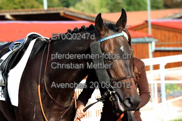 ET0Q0247d prot