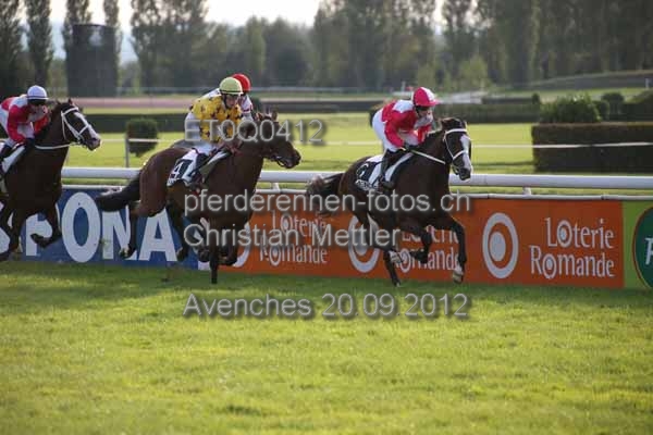 ET0Q0412 prot