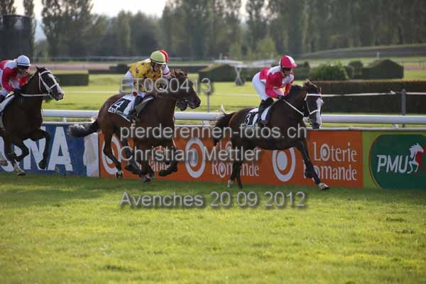 ET0Q0413 prot