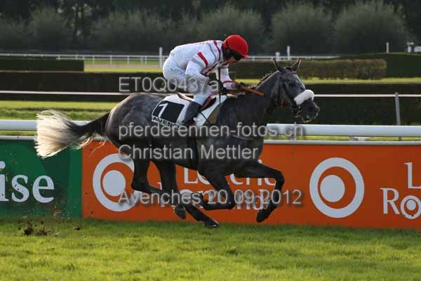 ET0Q0437a prot
