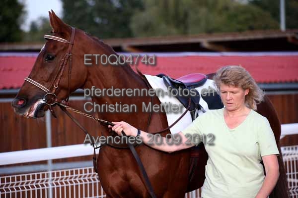 ET0Q0474d prot
