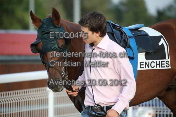 ET0Q0475 prot