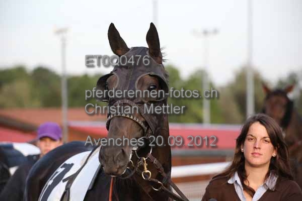 ET0Q0476 prot