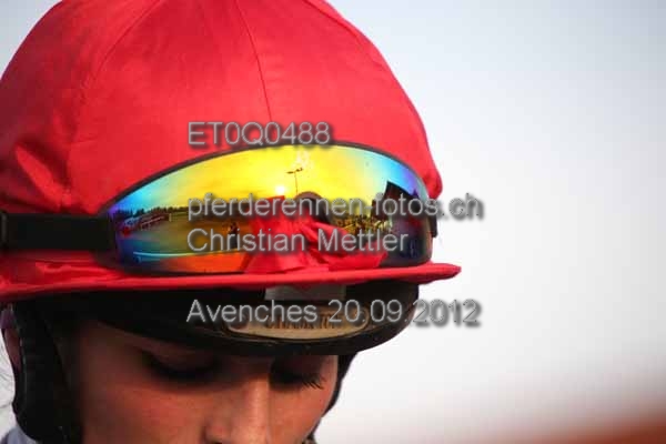 ET0Q0488 prot