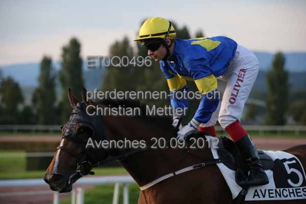ET0Q0496 prot