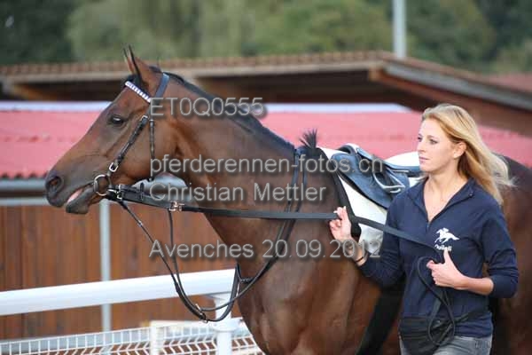 ET0Q0555 prot