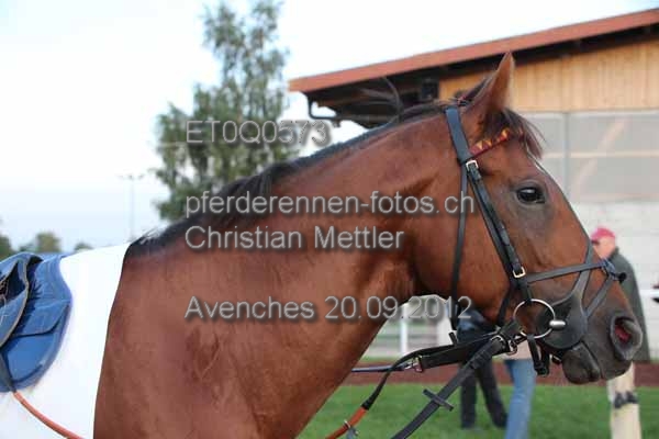 ET0Q0573 prot