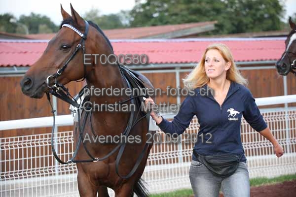 ET0Q0580 prot