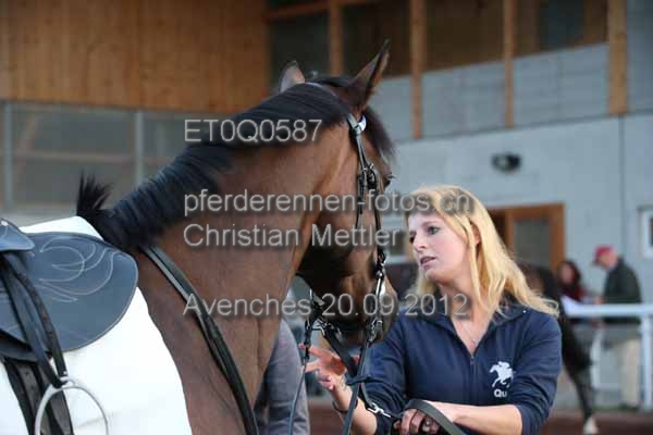 ET0Q0587 prot