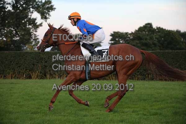 ET0Q0596 prot