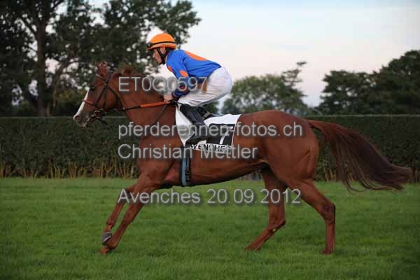 ET0Q0597 prot