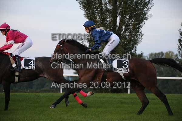 ET0Q0614 prot