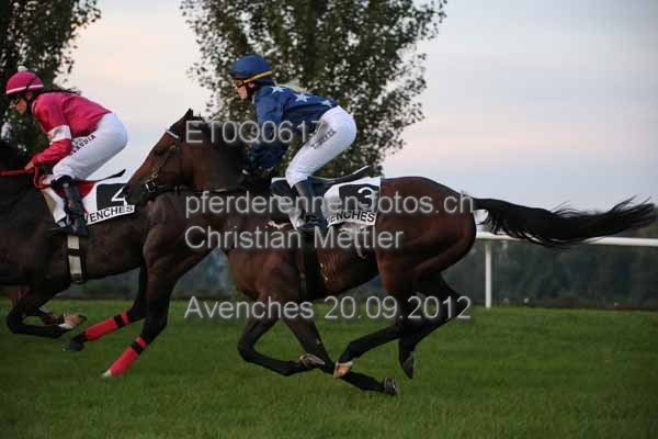 ET0Q0617 prot