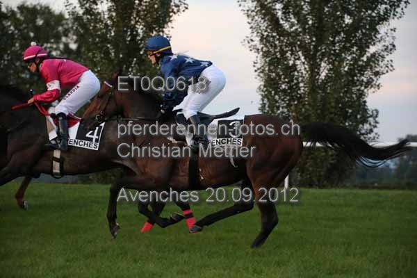 ET0Q0618 prot