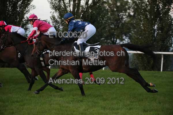 ET0Q0620 prot