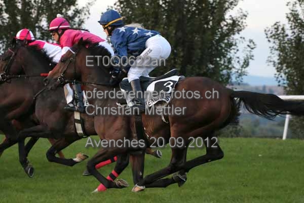 ET0Q0622ah prot