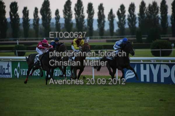ET0Q0627 prot