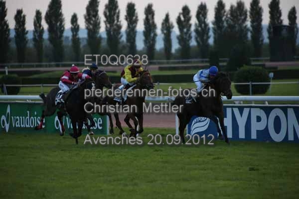 ET0Q0628 prot