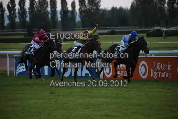 ET0Q0629 prot