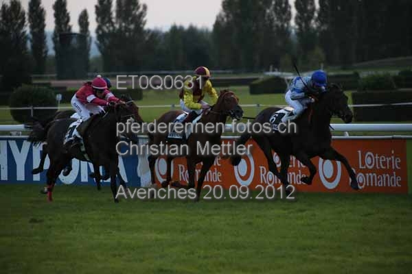 ET0Q0631 prot