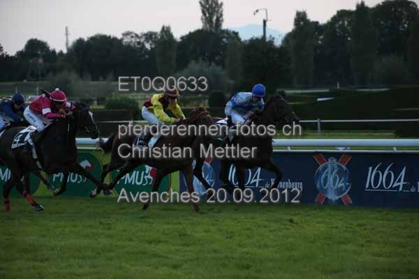 ET0Q0633 prot