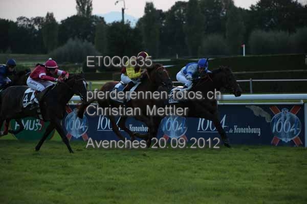 ET0Q0635 prot