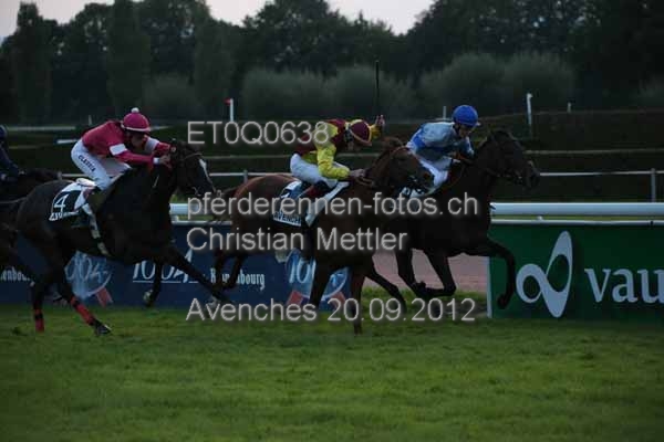 ET0Q0638 prot