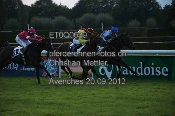 ET0Q0639 prot