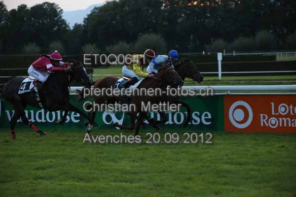 ET0Q0641 prot
