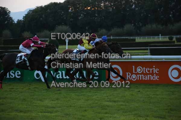 ET0Q0642 prot