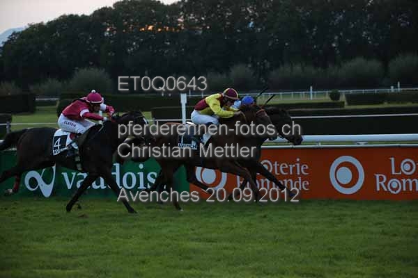 ET0Q0643 prot