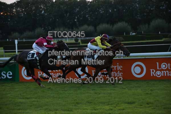 ET0Q0645 prot