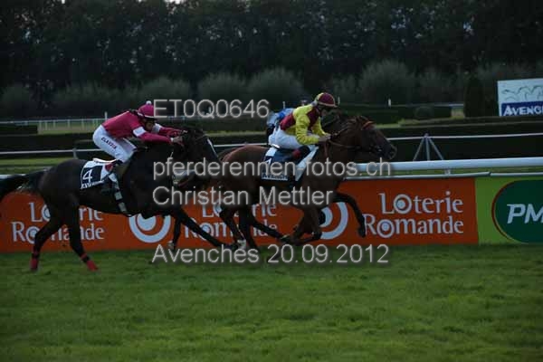 ET0Q0646 prot