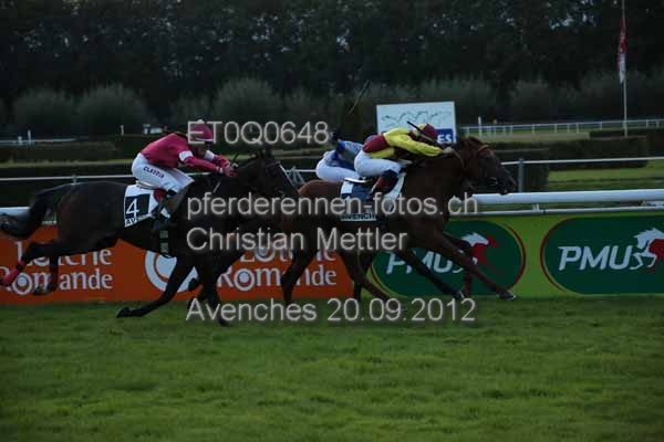 ET0Q0648 prot