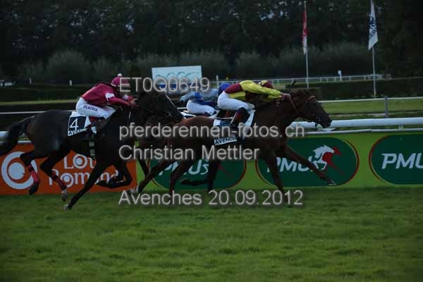 ET0Q0649 prot