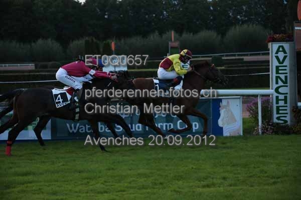 ET0Q0657 prot