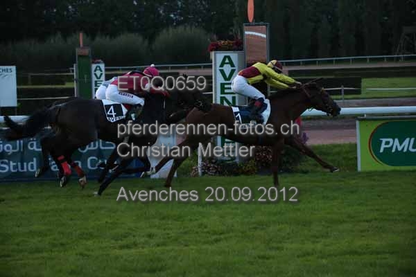 ET0Q0659 prot