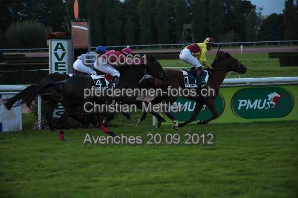 ET0Q0661 prot