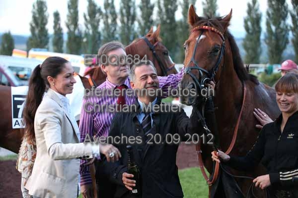 ET0Q0684 prot
