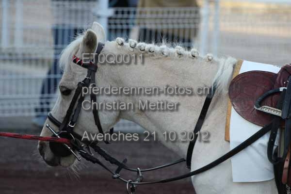 ET0Q0011 prot