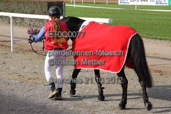ET0Q0077 prot